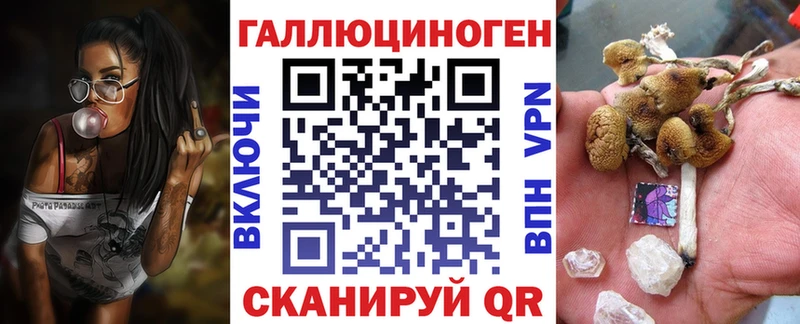 Галлюциногенные грибы Psilocybine cubensis  mega зеркало  Заозёрный  где можно купить наркотик 